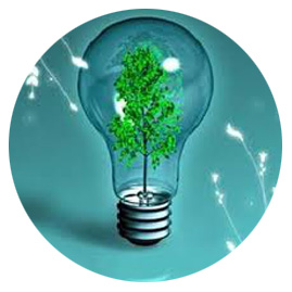 practitioner-pnl-(1)